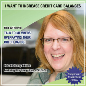 I Want to Increase Credit Card Balances
