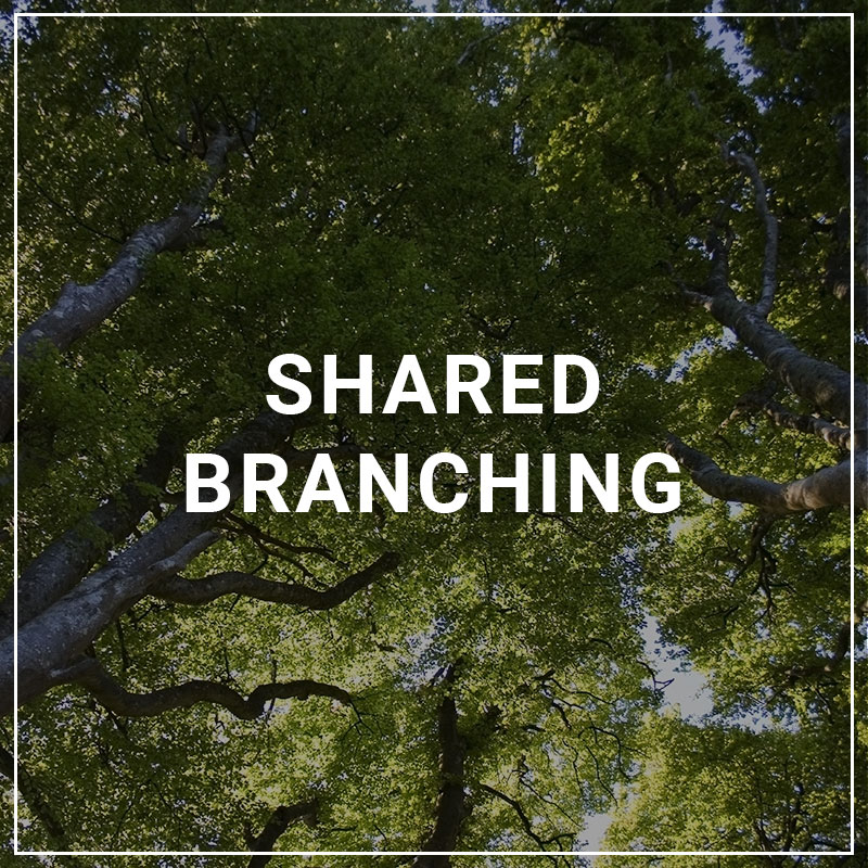 Shared Branching