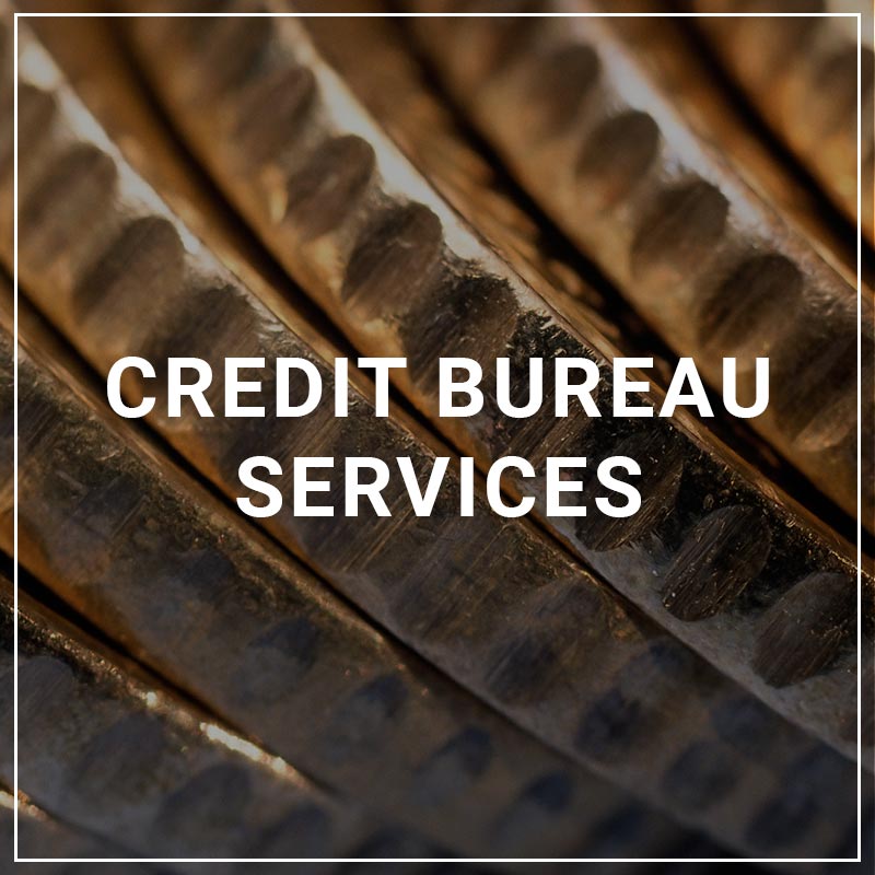 Credit Bureau Services