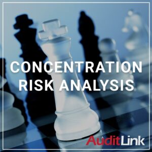 Concentration Risk Analysis - a service by AuditLink