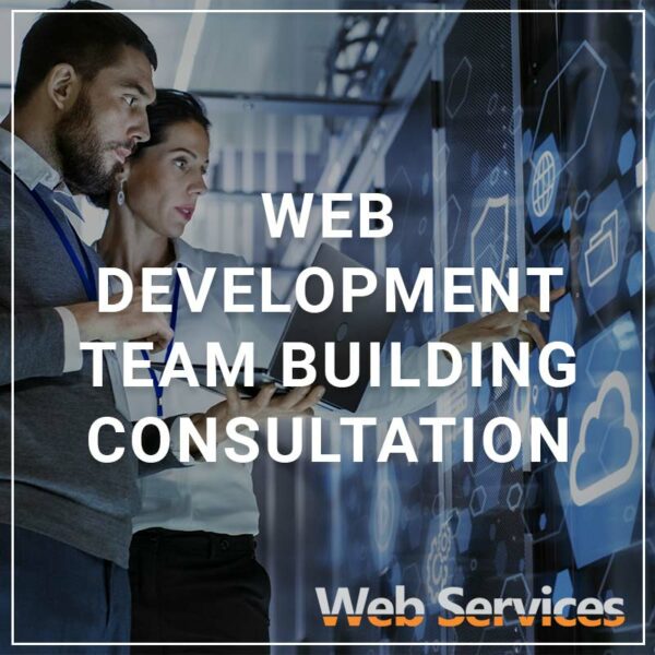 Web Development Team Building Consultation