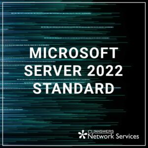 microsoft server 2022 standard