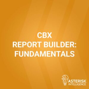 CBX Report Builder: Fundamentals