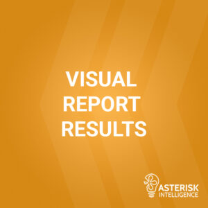 Visual Report Results